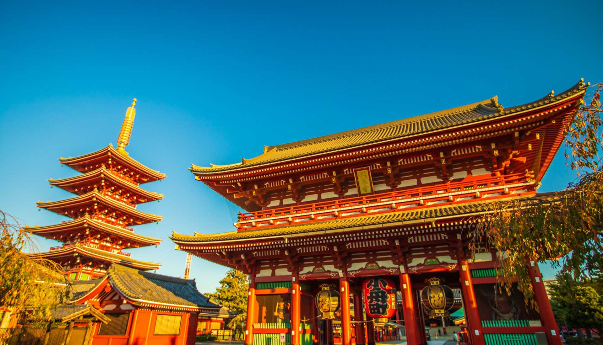 スリランカの方々の日本 ツアーガイド してきました！